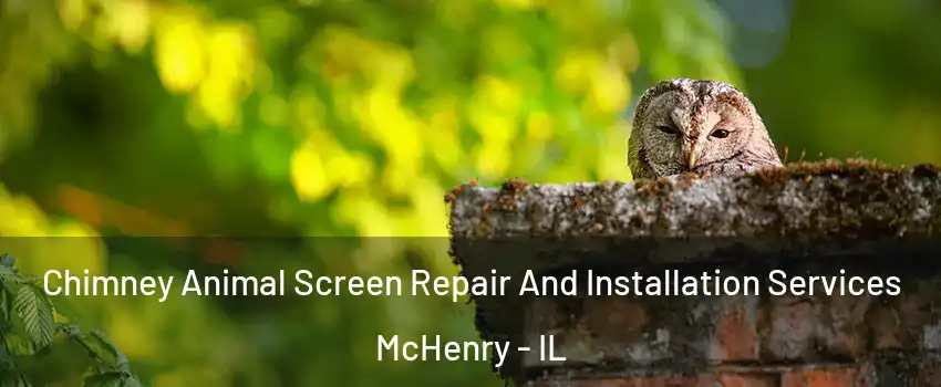  Chimney Animal Screen Repair And Installation Services McHenry - IL