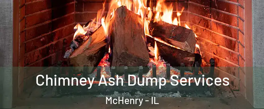  Chimney Ash Dump Services McHenry - IL