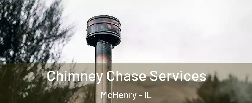  Chimney Chase Services McHenry - IL