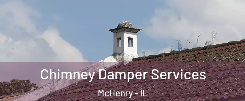  Chimney Damper Services McHenry - IL