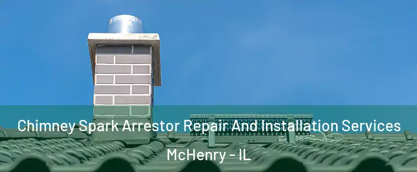  Chimney Spark Arrestor Repair And Installation Services McHenry - IL