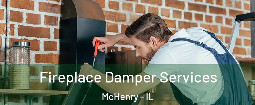  Fireplace Damper Services McHenry - IL
