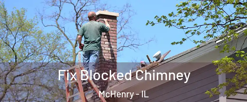  Fix Blocked Chimney McHenry - IL