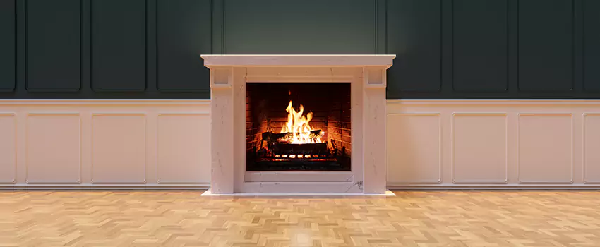 Napoleon Electric Fireplaces Inspection Service in McHenry, Illinois