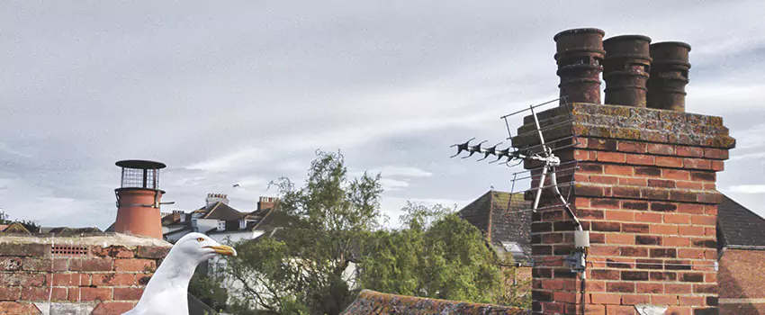 Chimney Cleaning And Restoration in McHenry, Illinois