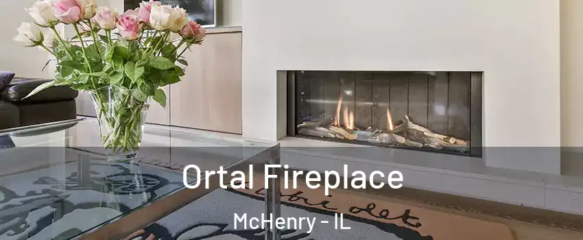  Ortal Fireplace McHenry - IL